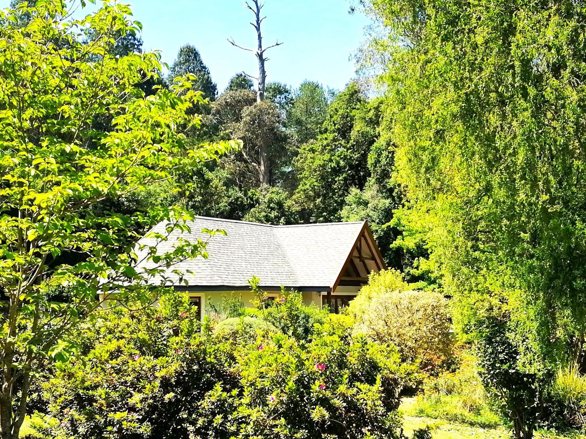 Hogsback Arminel Hotel 外观 照片